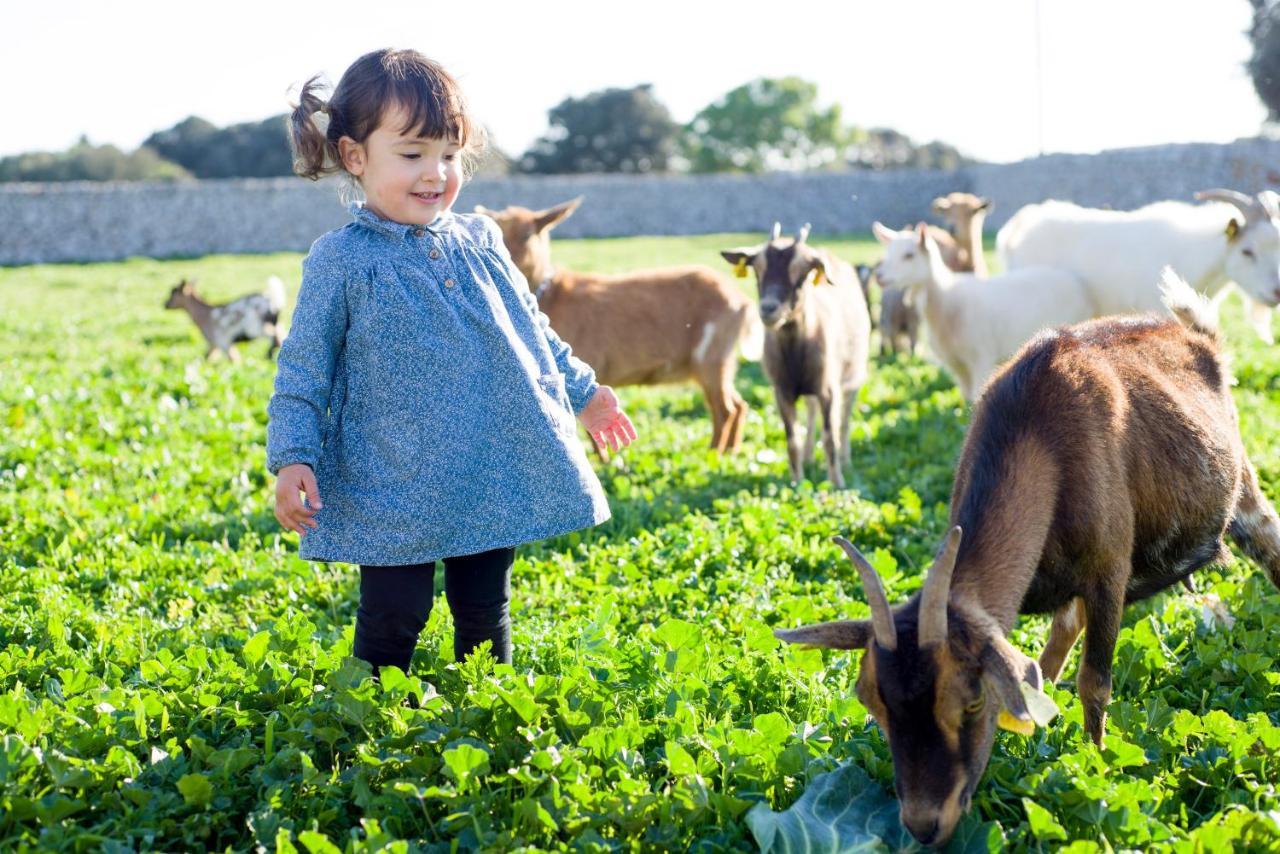 Llucmacanes Gran Agroturismo Mahón Eksteriør bilde