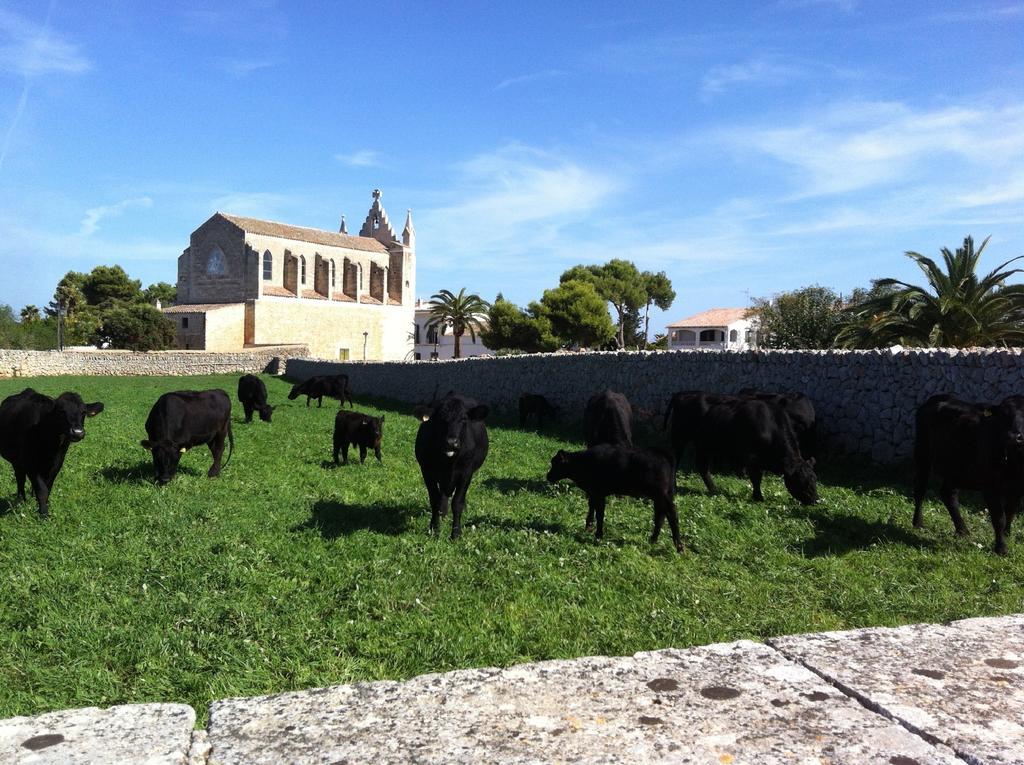 Llucmacanes Gran Agroturismo Mahón Eksteriør bilde